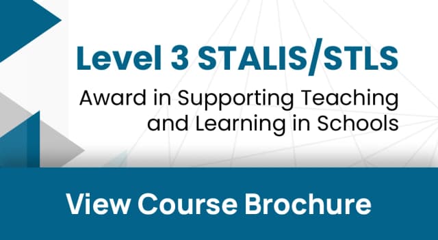 level-3-stlis-stls