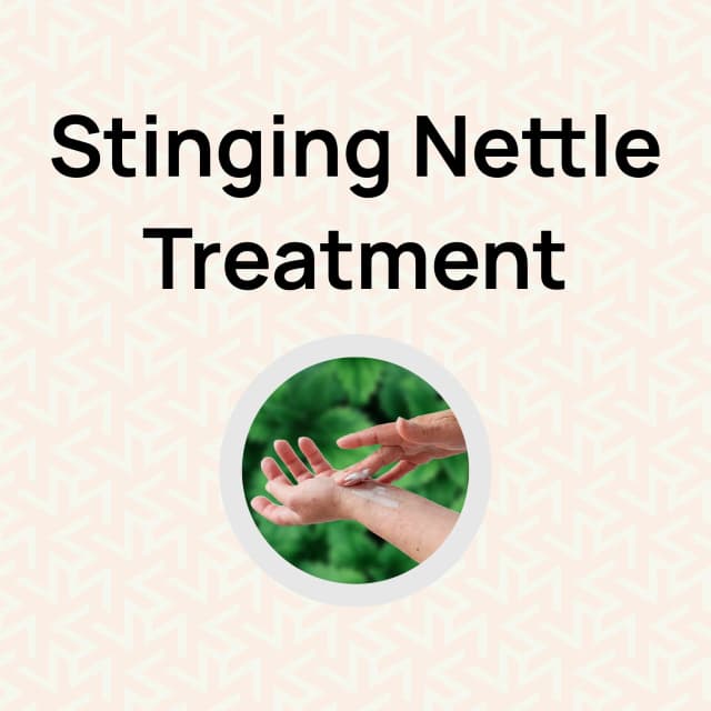 Stinging Nettle Treatment
