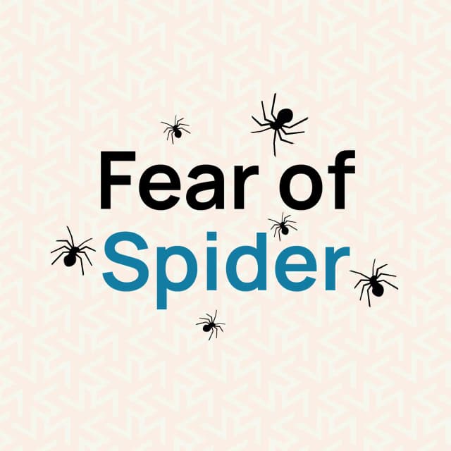 fear-of-spiders-arachnophobia-hurak-uk-guide
