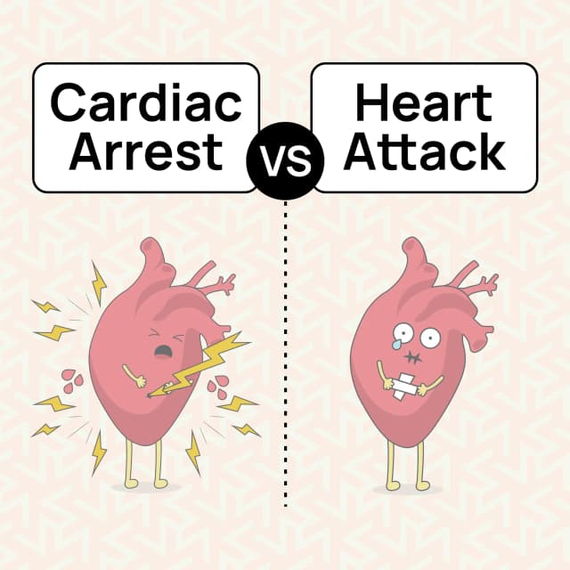 heart attack vs cardiac arrest