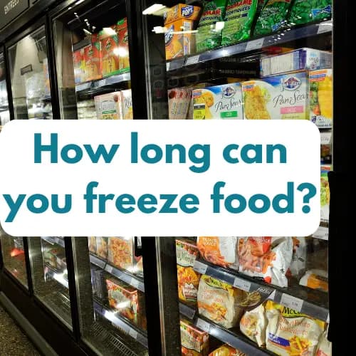 how-long-can-you-freeze-food