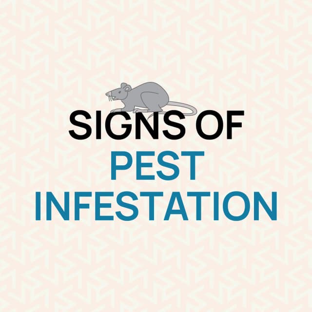 pest-infestation-guide-hurak